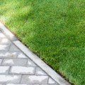 How long does it take for grass to grow from sod?