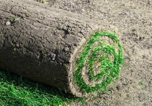 How do you keep sod alive before laying?