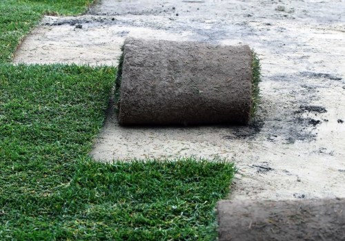 Is it better to lay sod or seed?